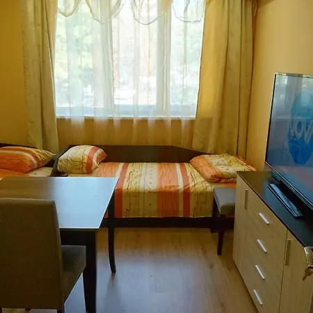 Newly Renovated Studio In The Top Centre Of