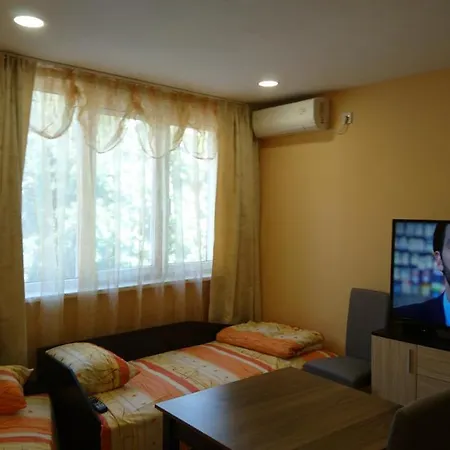Newly Renovated Studio In The Top Centre Of *